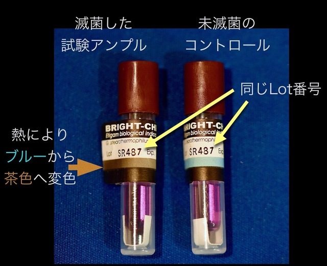 バイオロジカルインジケータ